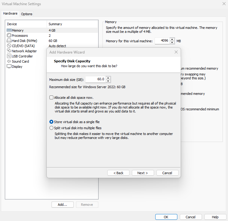 Choosing the disk file name
