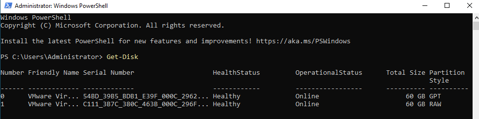 Get-Disk showing the new RAW disk