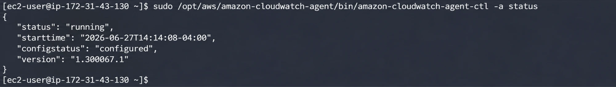 Nginx and CloudWatch Agent verification on the EC2 host