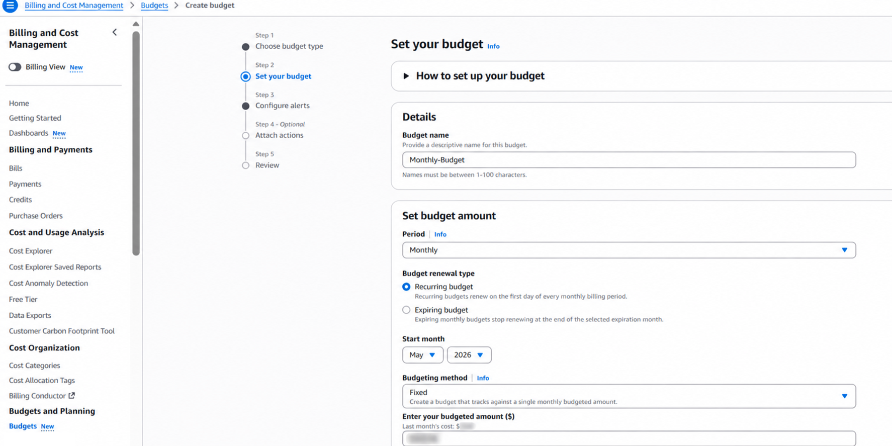 Monthly cost-budget details and amount