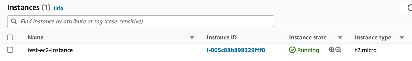 The running EC2 instance created by Terraform.