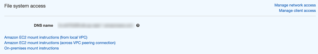 Opening the EC2 mount instructions for the file system.