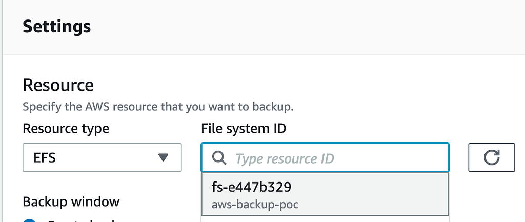 Selecting the EFS file system to protect.