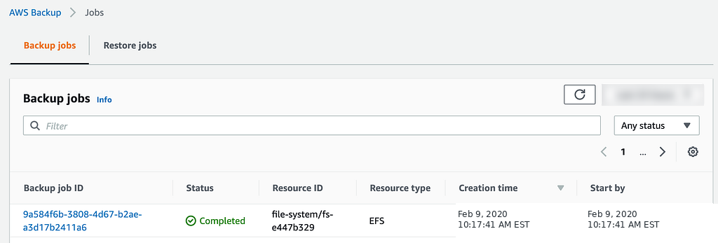 The completed EFS backup job.