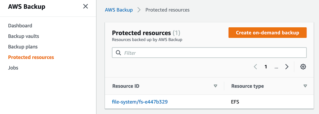 The EFS file system now appears as a protected resource.