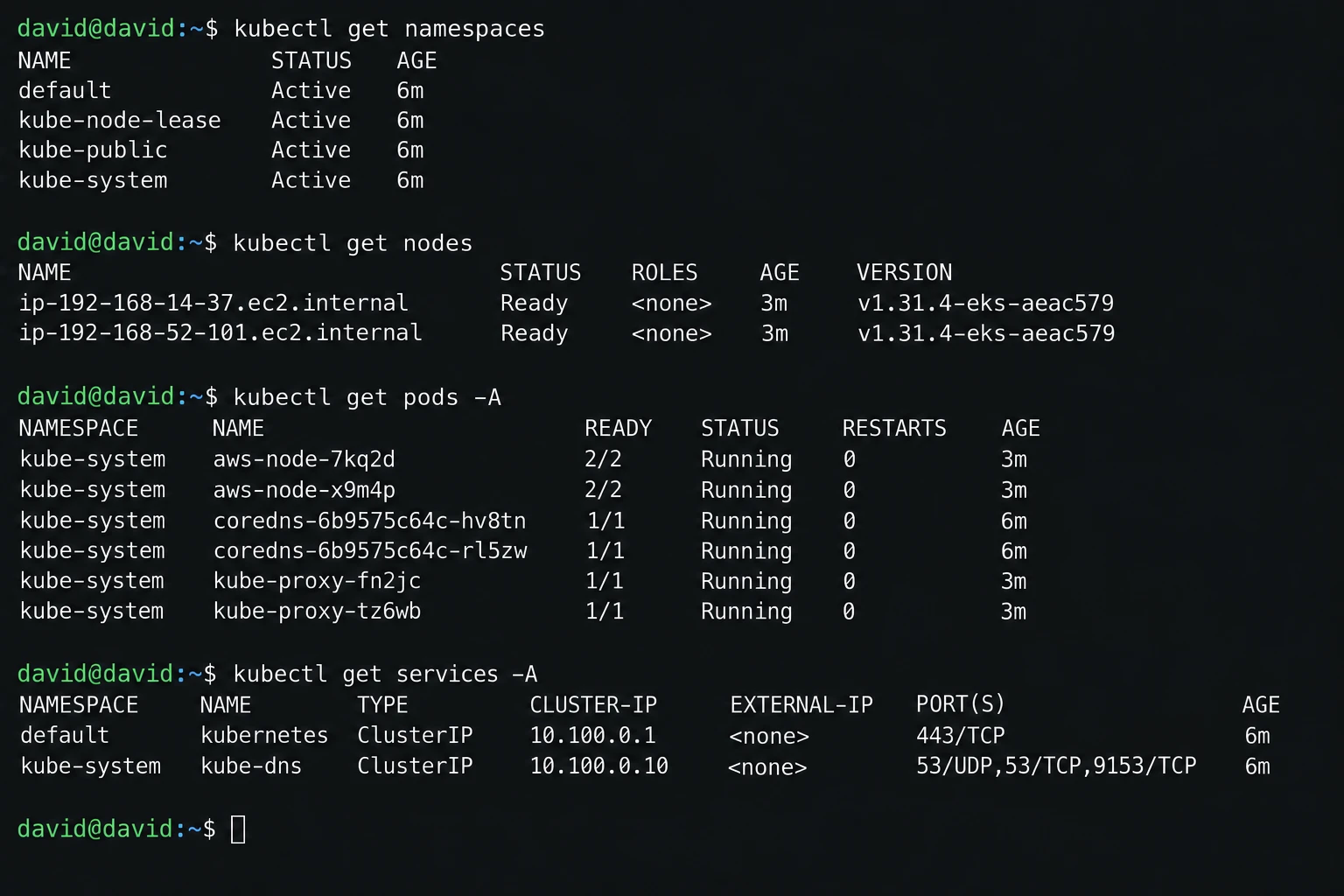 kubectl checks against namespaces, nodes, pods, and services