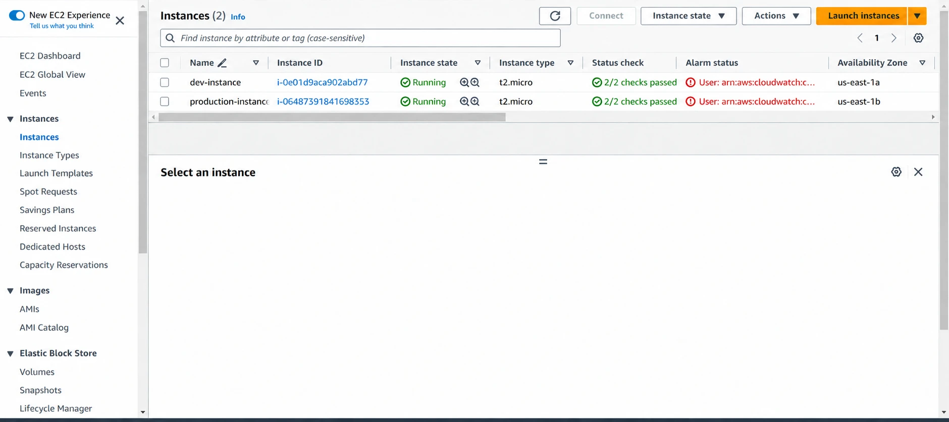The development and production EC2 instances.