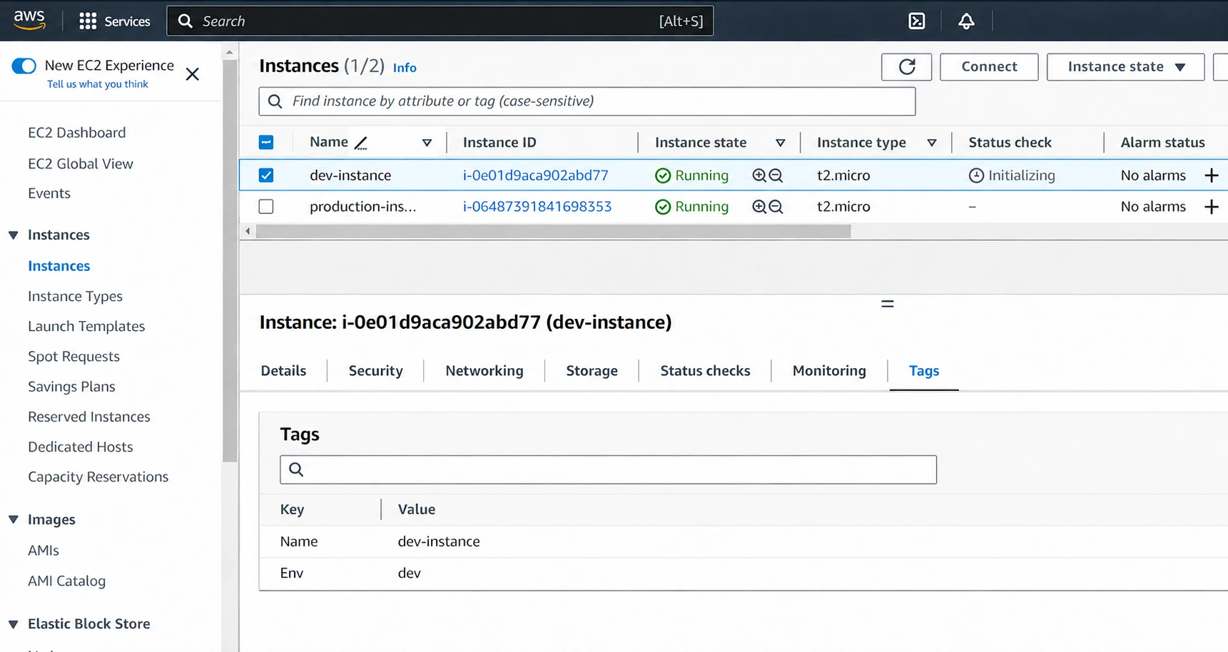The Env=dev tag on the development instance.