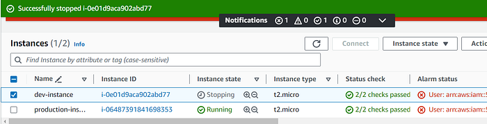 The permitted operation against the tagged development instance.
