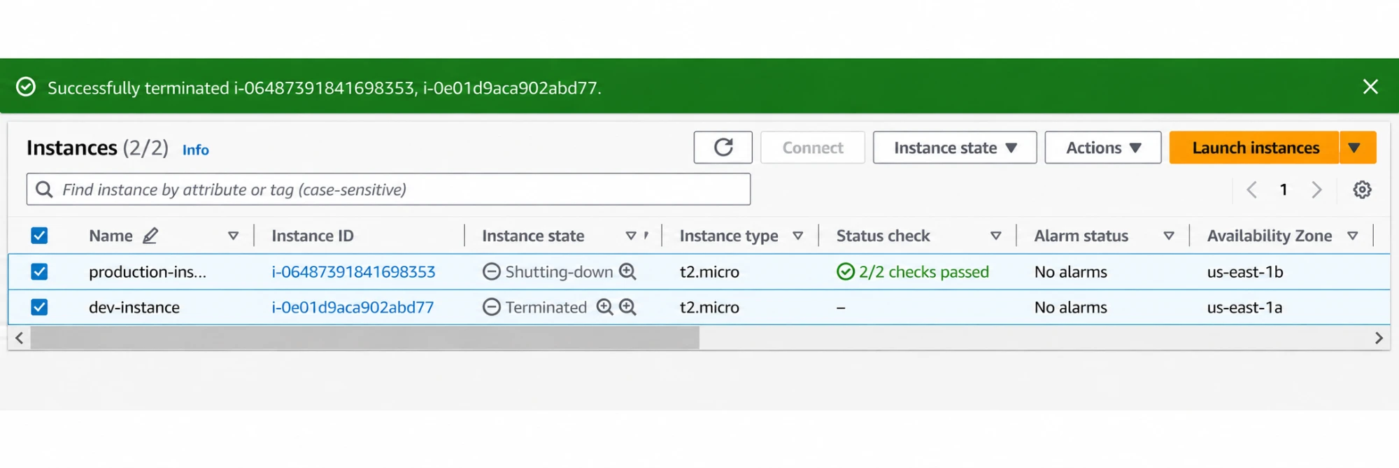 Terminating the two test instances.