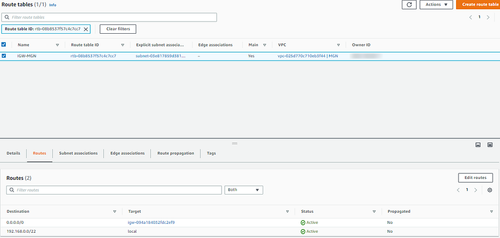 Adding the default route through the internet gateway