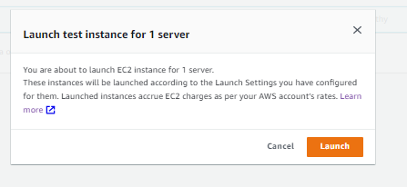 Confirming the test-instance launch