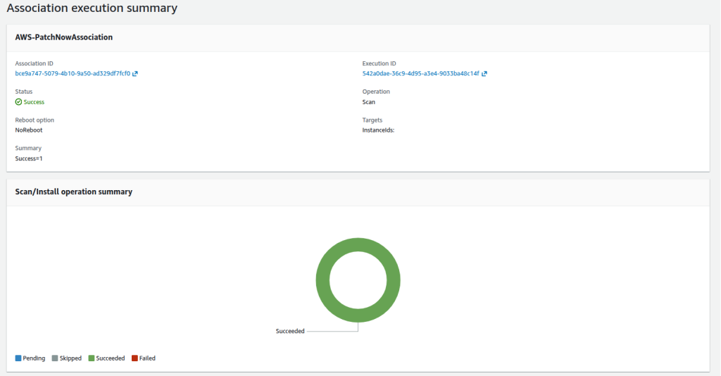 Successful Patch Manager scan execution