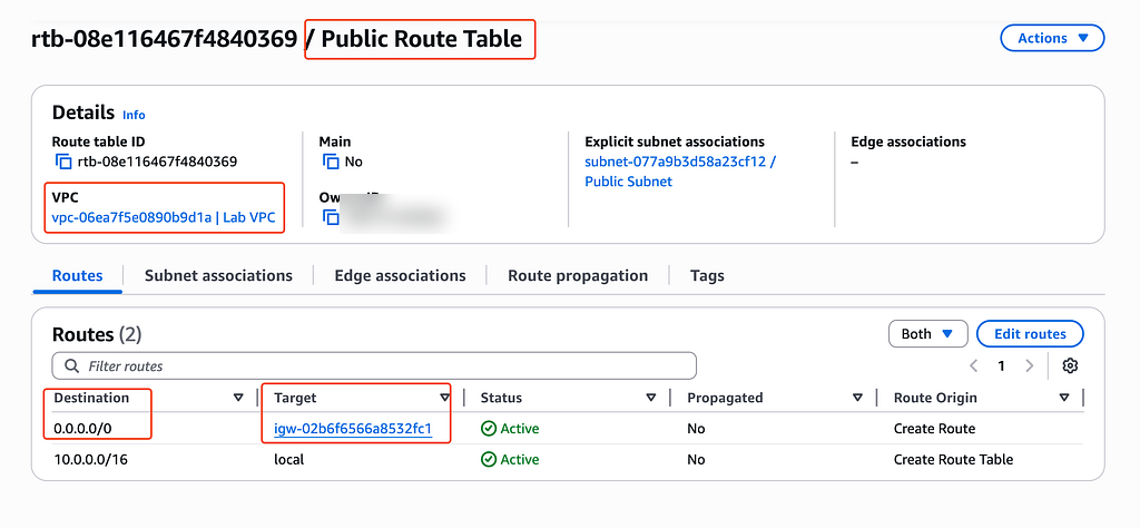 The public subnet&rsquo;s default route points to the internet gateway