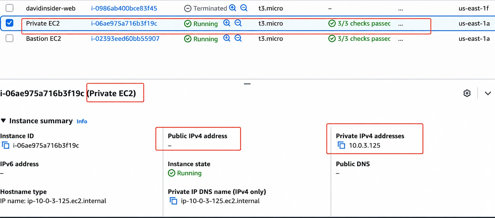 The private application instance has no public IPv4 address