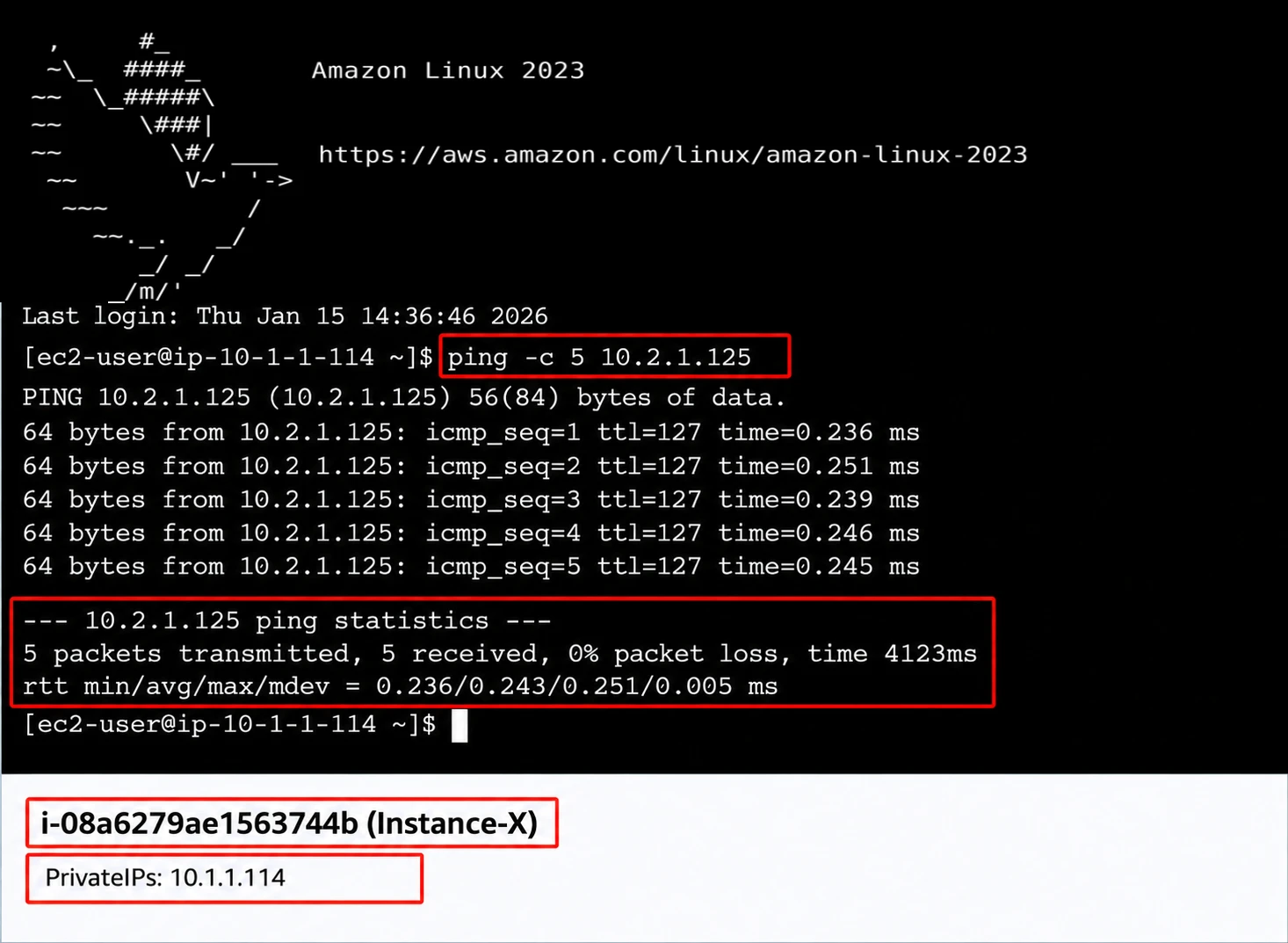 Successful private connectivity across the VPC peering connection