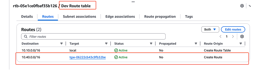 DEV VPC route table sends 10.40.0.0/16 to the Transit Gateway