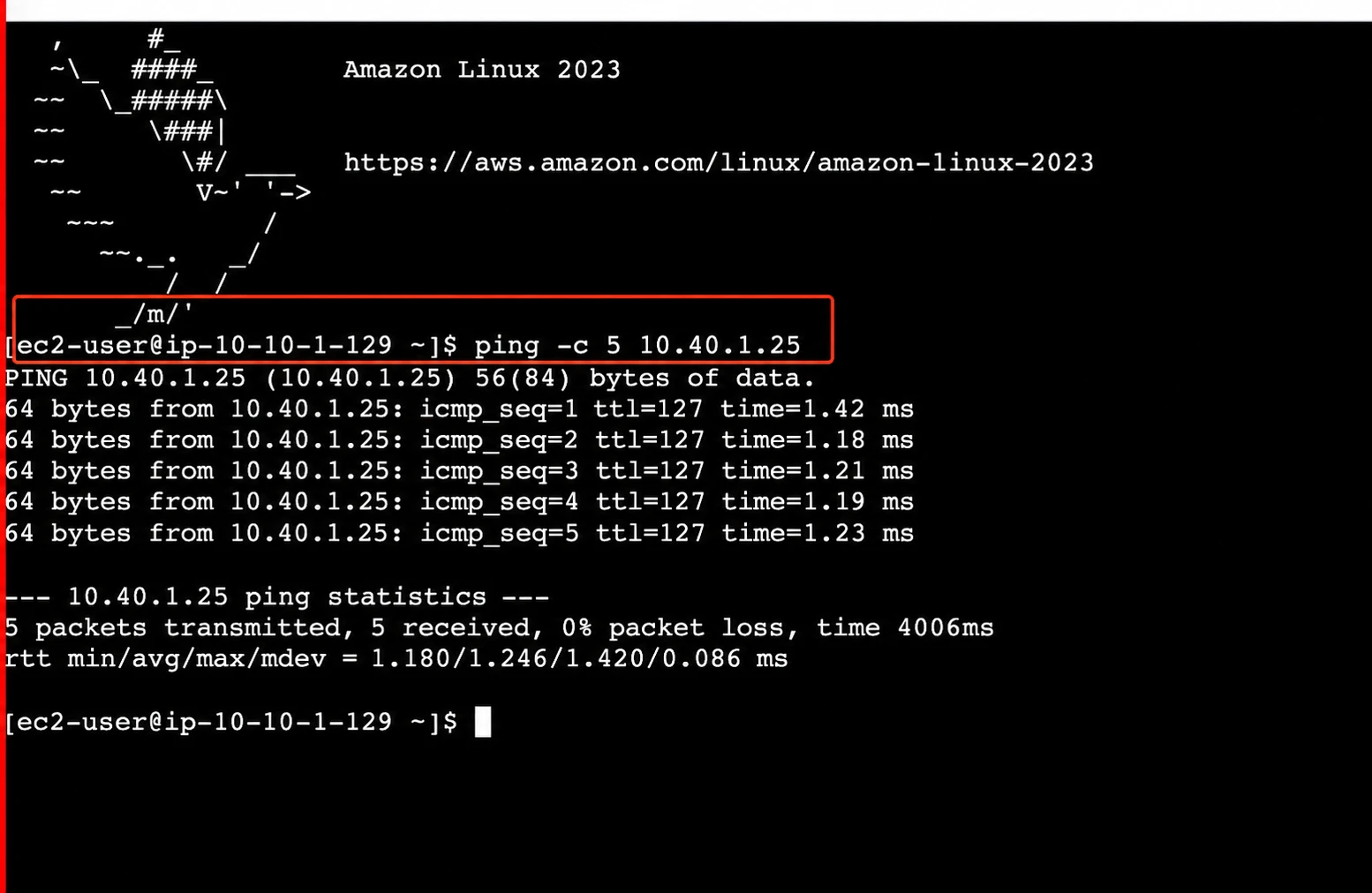 Connectivity test from DEV after the Transit Gateway routes were configured