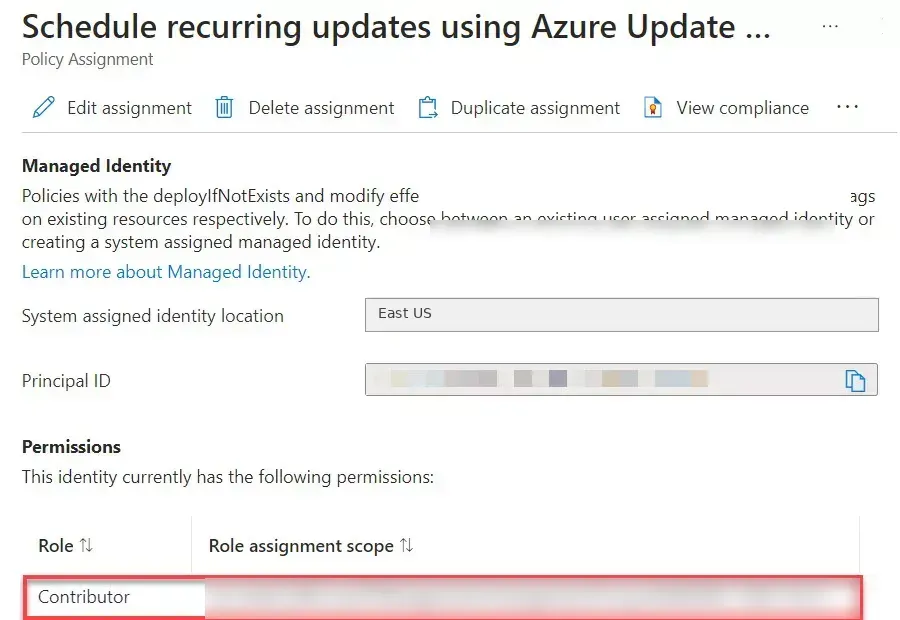 Granting the managed identity permissions for recurring schedules.