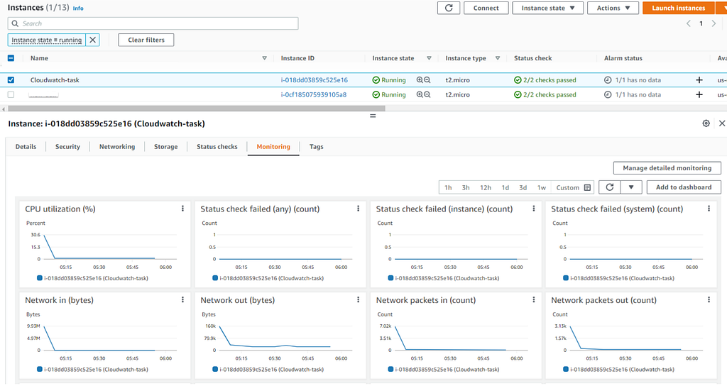 Standard EC2 metrics on the instance Monitoring tab