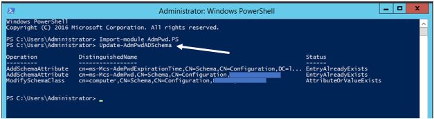 Running the schema update