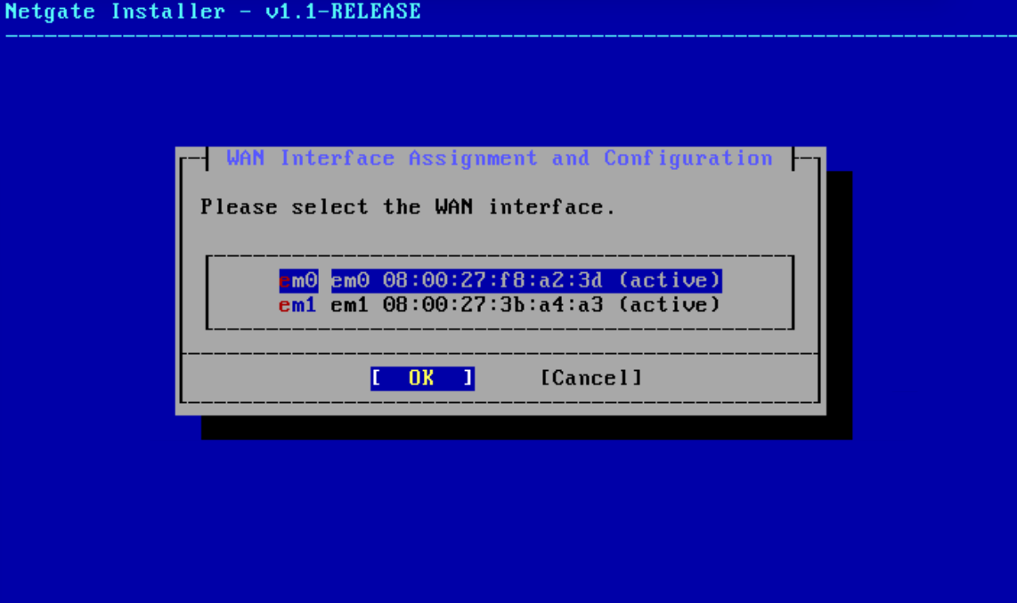 Selecting em0 as the WAN interface