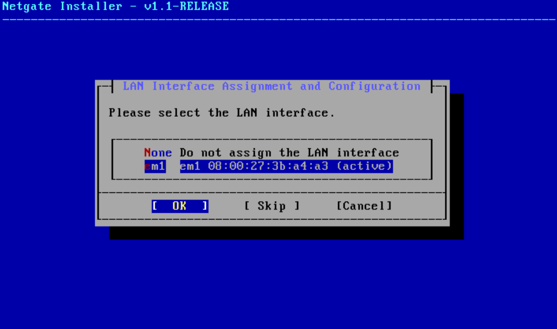 Selecting em1 as the LAN interface