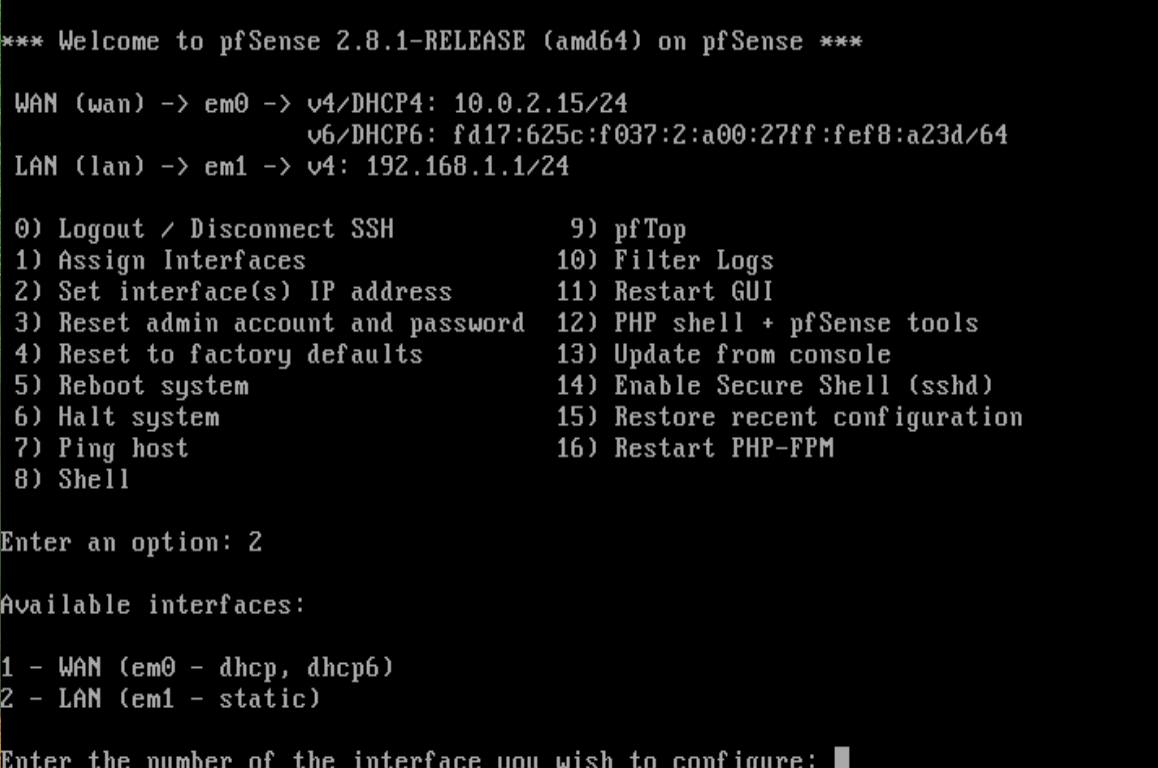 Choosing option 2 to set the interface IP