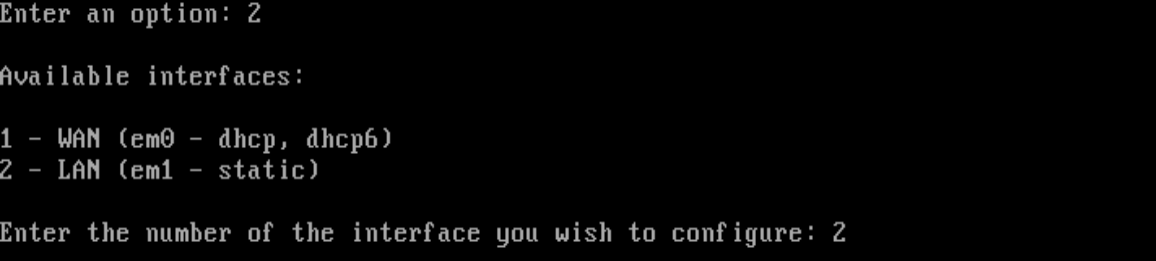 Selecting the LAN interface