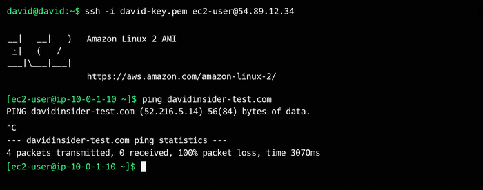 The same private name resolves successfully from the associated custom VPC.